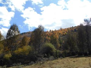 四川省・八美から丹巴路へ 雅拉雪山を望む 紅葉の丹巴路１ 紅葉の丹巴路２ 四姑娘山の秋の写真　錦秋の丹巴路を行く4-6