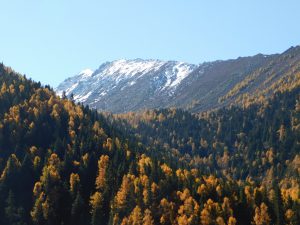 四川省・八美から丹巴路へ 雅拉雪山を望む 紅葉の丹巴路１ 紅葉の丹巴路２ 四姑娘山の秋の写真　錦秋の丹巴路を行く4-7