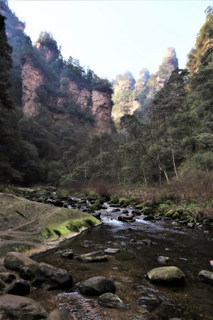 湖南省・の写真 峡幽神秘、五絶の世界3-8