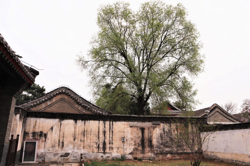 北京、河北省・北京から河北路を内モンゴルへ 奇岩の回廊（承徳近郊） 避暑山庄 普陀宗乗之廟 普楽寺夕景の写真　清朝四大皇帝、康熙帝ゆかりの地を訪ねて3-1