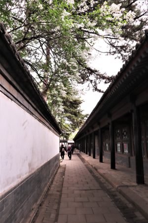 北京、河北省・北京から河北路を内モンゴルへ 奇岩の回廊（承徳近郊） 避暑山庄 普陀宗乗之廟 普楽寺夕景の写真　清朝四大皇帝、康熙帝ゆかりの地を訪ねて3-11