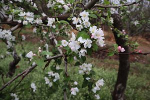 北京、河北省・北京から河北路を内モンゴルへ 奇岩の回廊（承徳近郊） 避暑山庄 普陀宗乗之廟 普楽寺夕景の写真　清朝四大皇帝、康熙帝ゆかりの地を訪ねて5-10