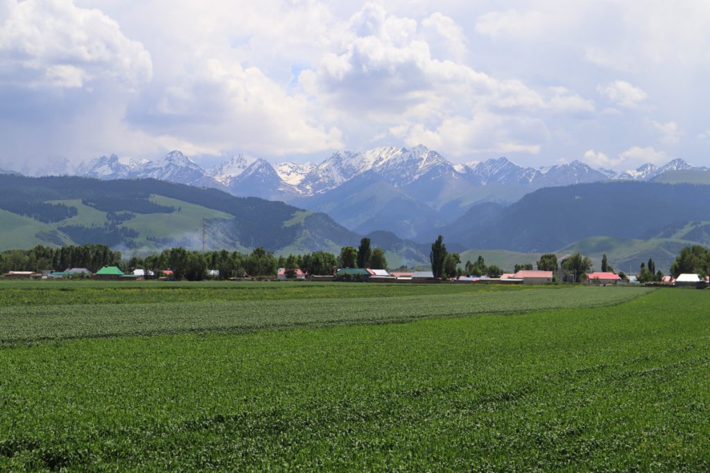 新疆ウィグル自治区・昭蘇の写真　生命が蘇る地2-1