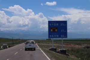 新疆ウィグル自治区・昭蘇の写真　生命が蘇る地2-10