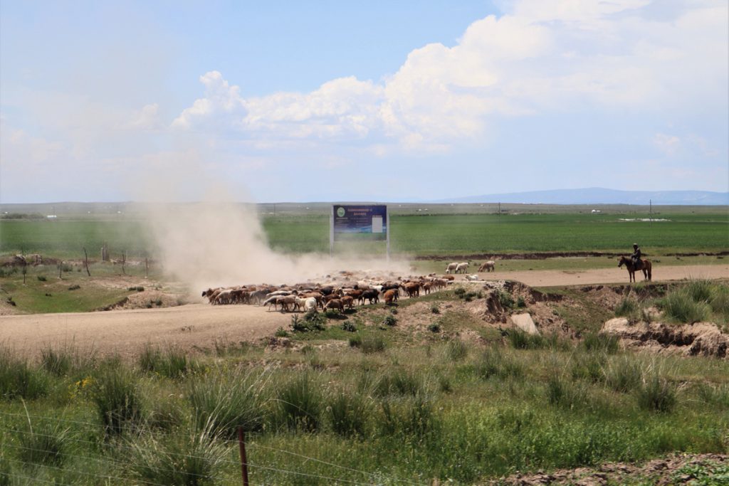 新疆ウィグル自治区・昭蘇の写真　生命が蘇る地2-2