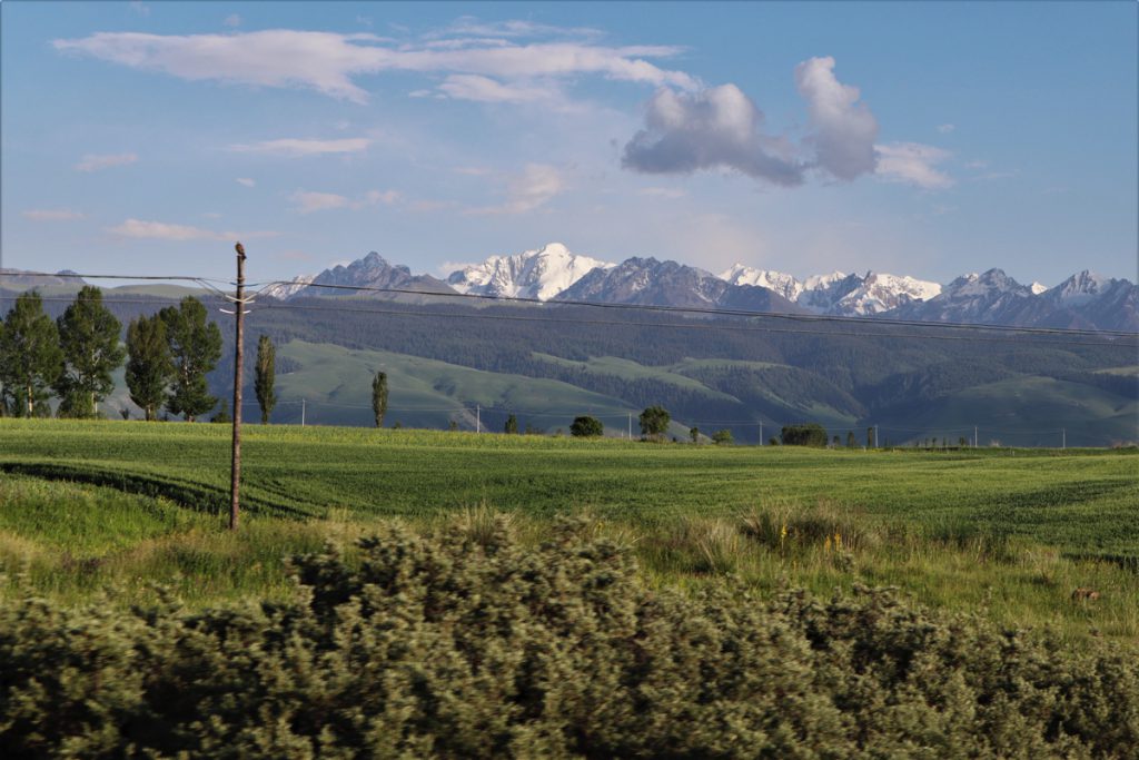 新疆ウィグル自治区・昭蘇の写真　生命が蘇る地2-4