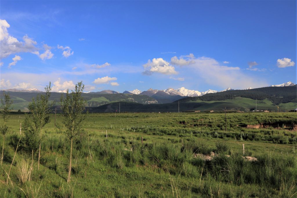 新疆ウィグル自治区・昭蘇の写真　生命が蘇る地2-5
