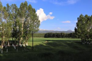 新疆ウィグル自治区・昭蘇の写真　生命が蘇る地2-6