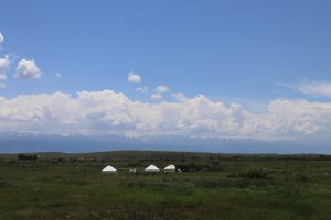 新疆ウィグル自治区・昭蘇の写真　生命が蘇る地2-7