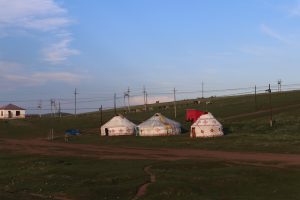 新疆ウィグル自治区・昭蘇の写真　生命が蘇る地2-8