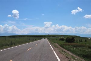 新疆ウィグル自治区・昭蘇の写真　生命が蘇る地2-9