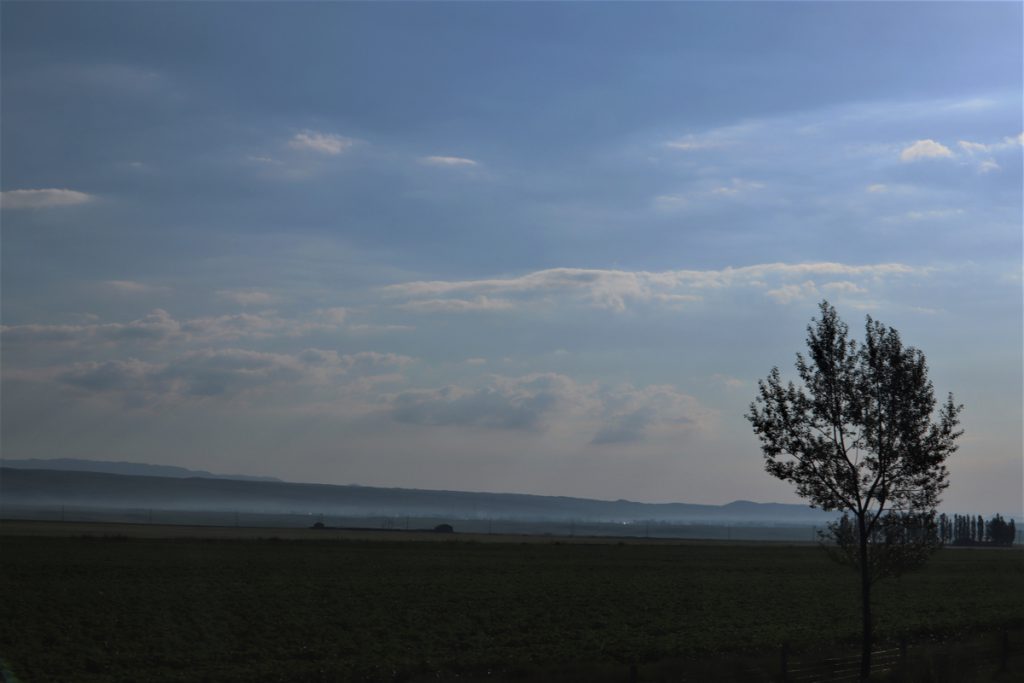 新疆ウィグル自治区・昭蘇の写真　生命が蘇る地3-2