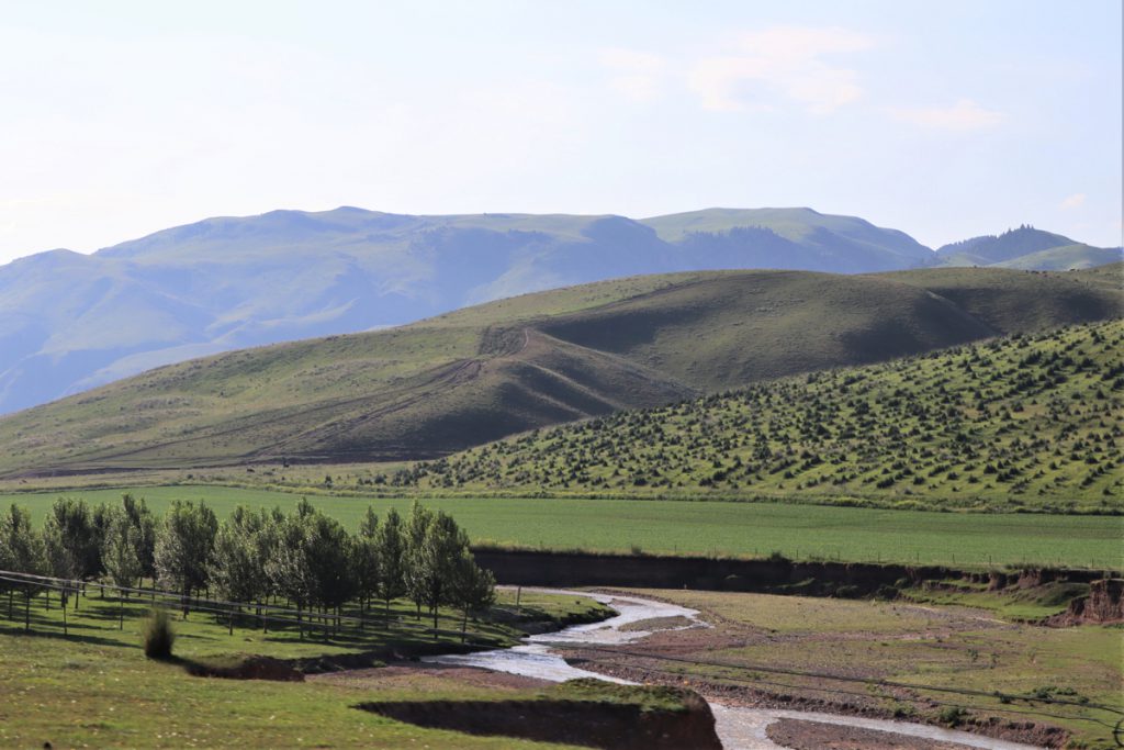 新疆ウィグル自治区・昭蘇の写真　生命が蘇る地3-3