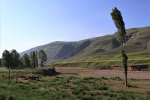 新疆ウィグル自治区・昭蘇の写真　生命が蘇る地3-7