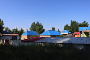 新疆ウィグル自治区・昭蘇の写真　生命が蘇る地3-8