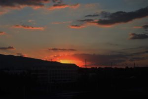 新疆ウィグル自治区・昭蘇の写真　生命が蘇る地3-9