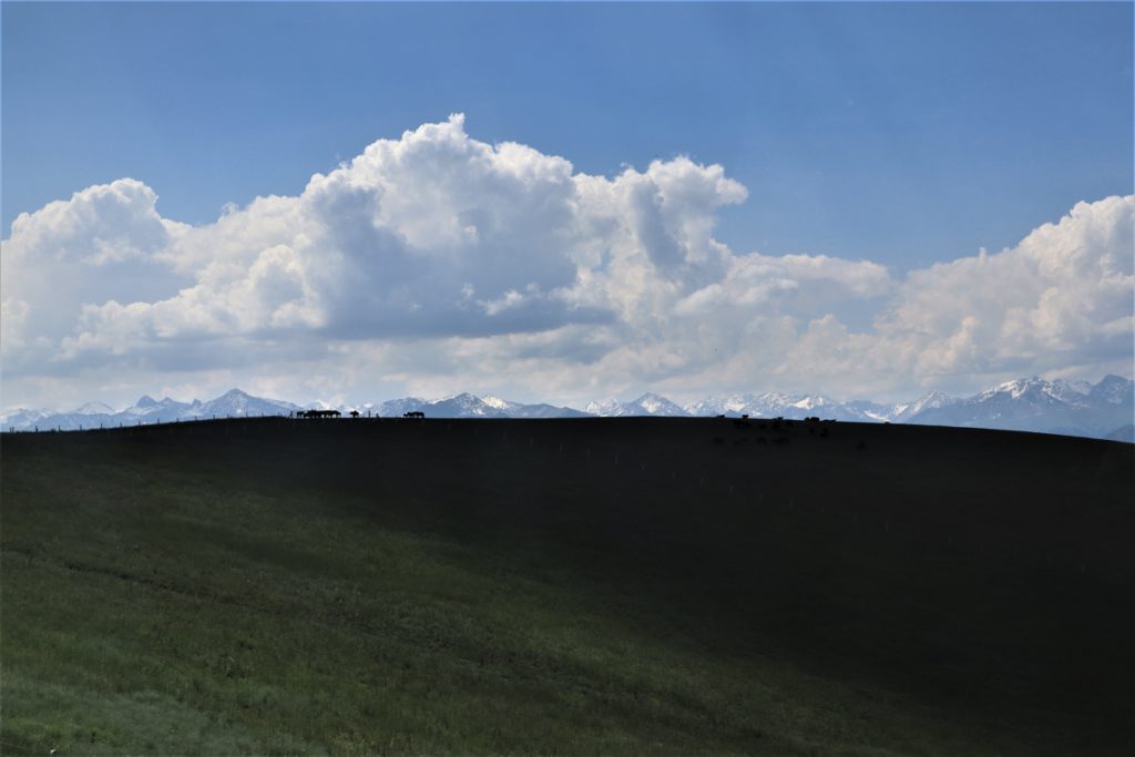 新疆ウィグル自治区・喀拉峻(カラジュン)の写真 波打つ、花と深緑の大草原3-1