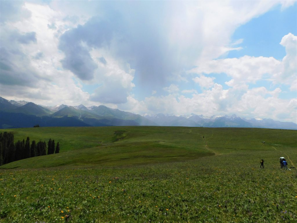 新疆ウィグル自治区・喀拉峻(カラジュン)の写真 波打つ、花と深緑の大草原3-2