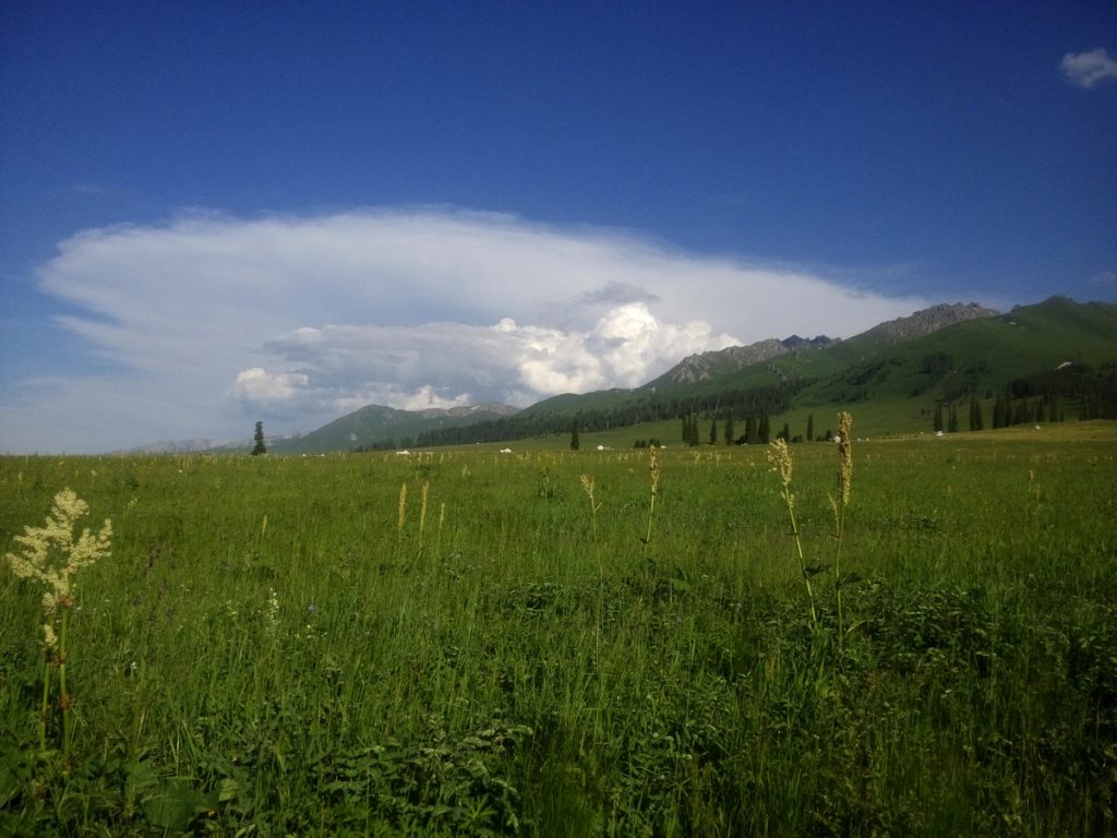 新疆ウィグル自治区・那拉堤（ナラテー）の写真　清風吹き渡る三面青山の草原劇場2-1