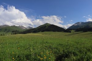 新疆ウィグル自治区・那拉堤（ナラテー）の写真　清風吹き渡る三面青山の草原劇場2-10