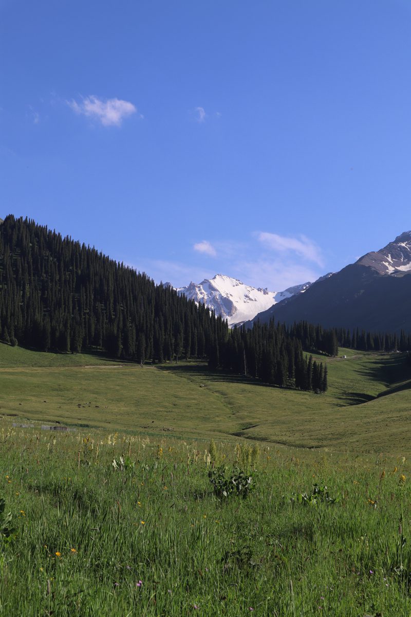 新疆ウィグル自治区・那拉堤（ナラテー）の写真　清風吹き渡る三面青山の草原劇場2-2