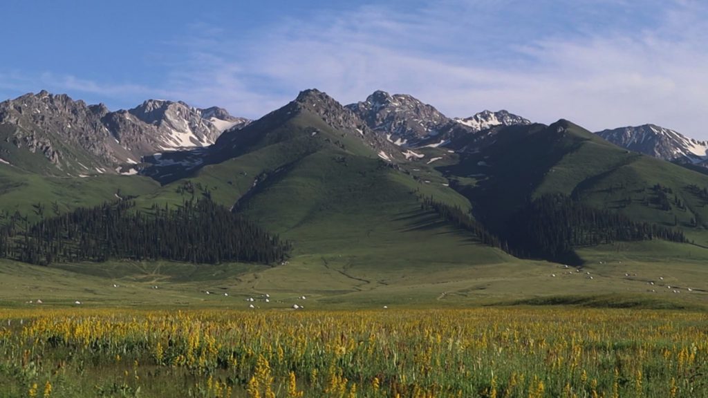 新疆ウィグル自治区・那拉堤（ナラテー）の写真　清風吹き渡る三面青山の草原劇場2-4