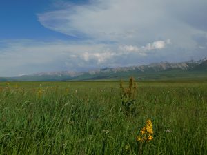 新疆ウィグル自治区・那拉堤（ナラテー）の写真　清風吹き渡る三面青山の草原劇場2-6
