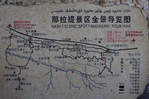 新疆ウィグル自治区・那拉堤（ナラテー）の写真　清風吹き渡る三面青山の草原劇場3-10