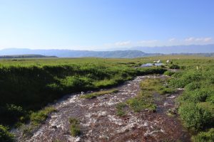 新疆ウィグル自治区・那拉堤（ナラテー）の写真　清風吹き渡る三面青山の草原劇場3-6