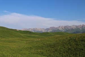 新疆ウィグル自治区・那拉堤（ナラテー）の写真　清風吹き渡る三面青山の草原劇場3-8