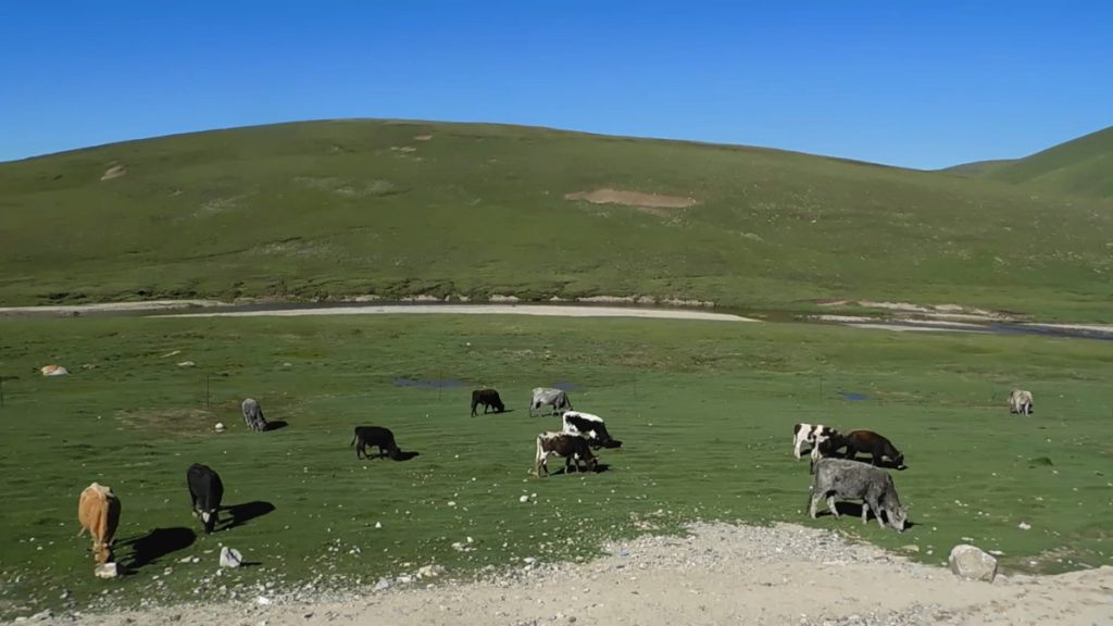 新疆ウィグル自治区・中天山から国道218号を行くの写真　天山の浪漫の回廊2-4