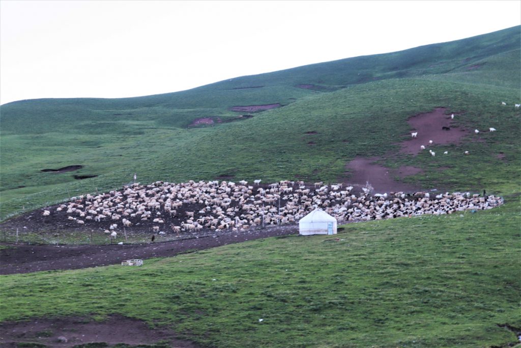 新疆ウィグル自治区・中天山から国道218号を行くの写真　天山の浪漫の回廊2-5