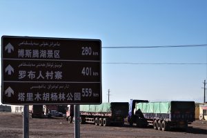 新疆ウィグル自治区・中天山から国道218号を行くの写真 天山の浪漫の回廊3-10