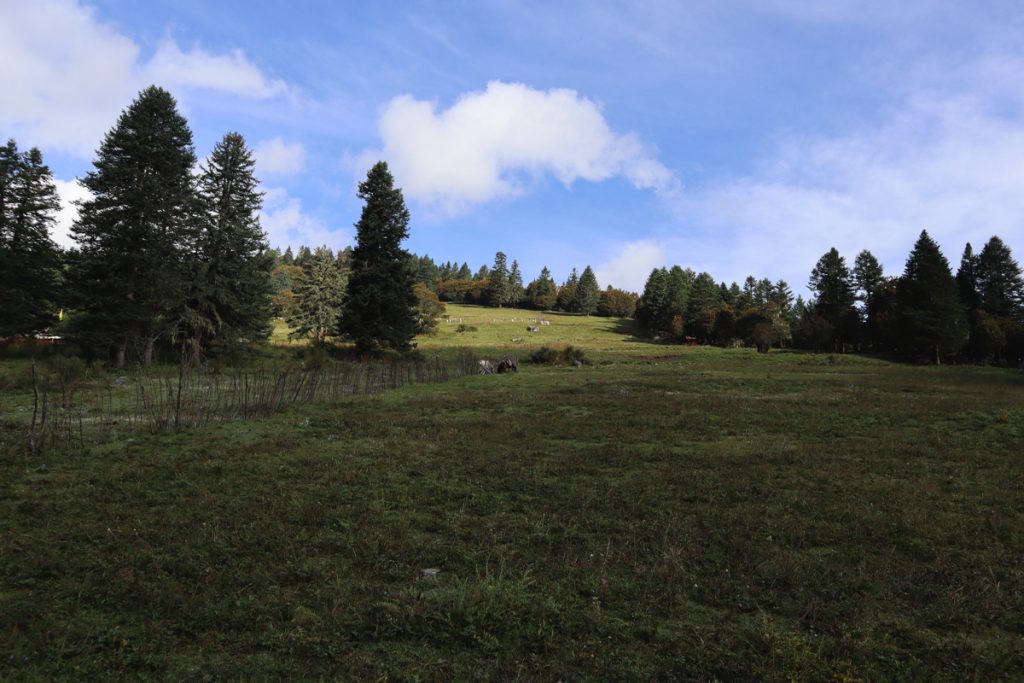 四川省・成都賽窄巷子、塔嶺村、葫芦海への登山道、葫芦海の写真　仙境の村、党嶺から葫芦海に登る3-2