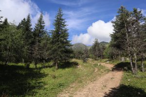 四川省・成都賽窄巷子、塔嶺村、葫芦海への登山道、葫芦海の写真　仙境の村、党嶺から葫芦海に登る3-6