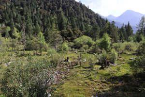 四川省・成都賽窄巷子、塔嶺村、葫芦海への登山道、葫芦海の写真　仙境の村、党嶺から葫芦海に登る4-7