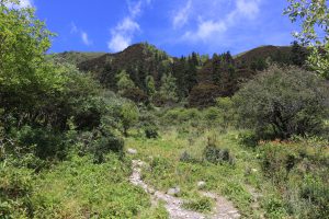四川省・成都賽窄巷子、塔嶺村、葫芦海への登山道、葫芦海の写真　仙境の村、党嶺から葫芦海に登る5-9