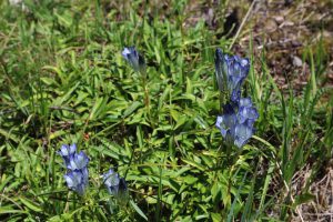 四川省・成都賽窄巷子、塔嶺村、葫芦海への登山道、葫芦海の写真 仙境の村、党嶺から葫芦海に登る6-10