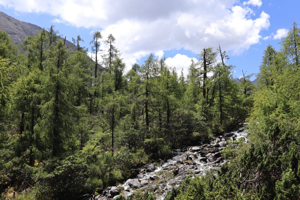四川省・成都賽窄巷子、塔嶺村、葫芦海への登山道、葫芦海の写真 仙境の村、党嶺から葫芦海に登る6-2