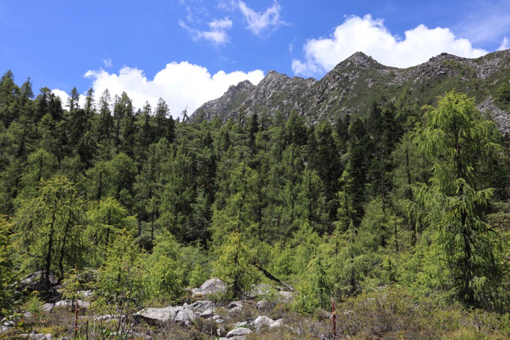 四川省・成都賽窄巷子、塔嶺村、葫芦海への登山道、葫芦海の写真 仙境の村、党嶺から葫芦海に登る6-5