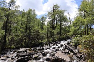 四川省・成都賽窄巷子、塔嶺村、葫芦海への登山道、葫芦海の写真 仙境の村、党嶺から葫芦海に登る6-6