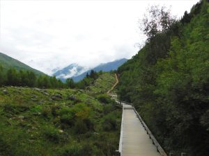 四川省・長坪溝、枯樹灘、四姑娘山鎮から大本営ベースキャンプへ、大峰山頂の写真 四姑娘山、大峰を登る2-8