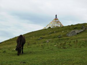 四川省・長坪溝、枯樹灘、四姑娘山鎮から大本営ベースキャンプへ、大峰山頂の写真 四姑娘山、大峰を登る3-10