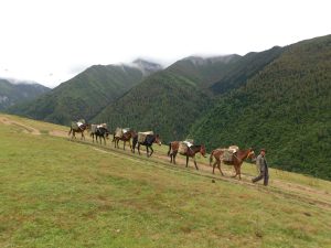 四川省・長坪溝、枯樹灘、四姑娘山鎮から大本営ベースキャンプへ、大峰山頂の写真 四姑娘山、大峰を登る3-11