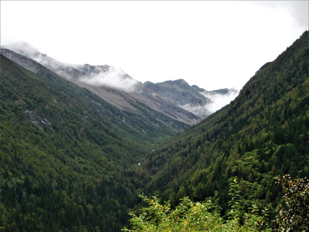 四川省・長坪溝、枯樹灘、四姑娘山鎮から大本営ベースキャンプへ、大峰山頂の写真 四姑娘山、大峰を登る3-2
