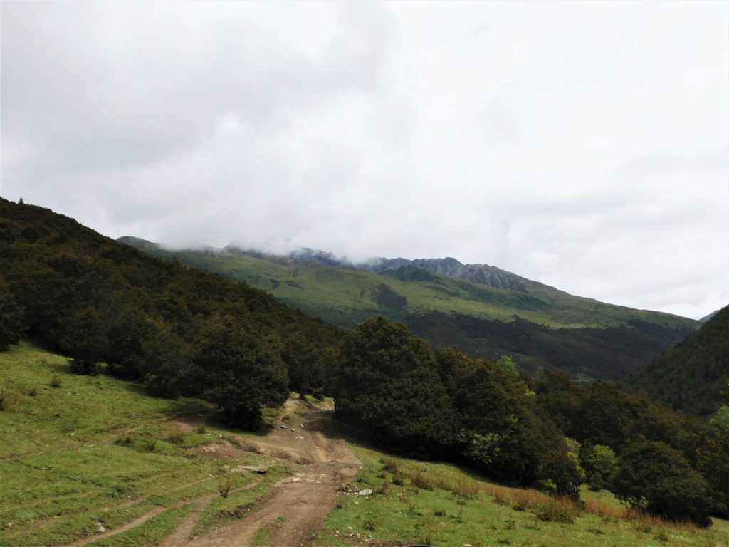 四川省・長坪溝、枯樹灘、四姑娘山鎮から大本営ベースキャンプへ、大峰山頂の写真 四姑娘山、大峰を登る3-4