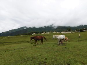 四川省・長坪溝、枯樹灘、四姑娘山鎮から大本営ベースキャンプへ、大峰山頂の写真 四姑娘山、大峰を登る3-9