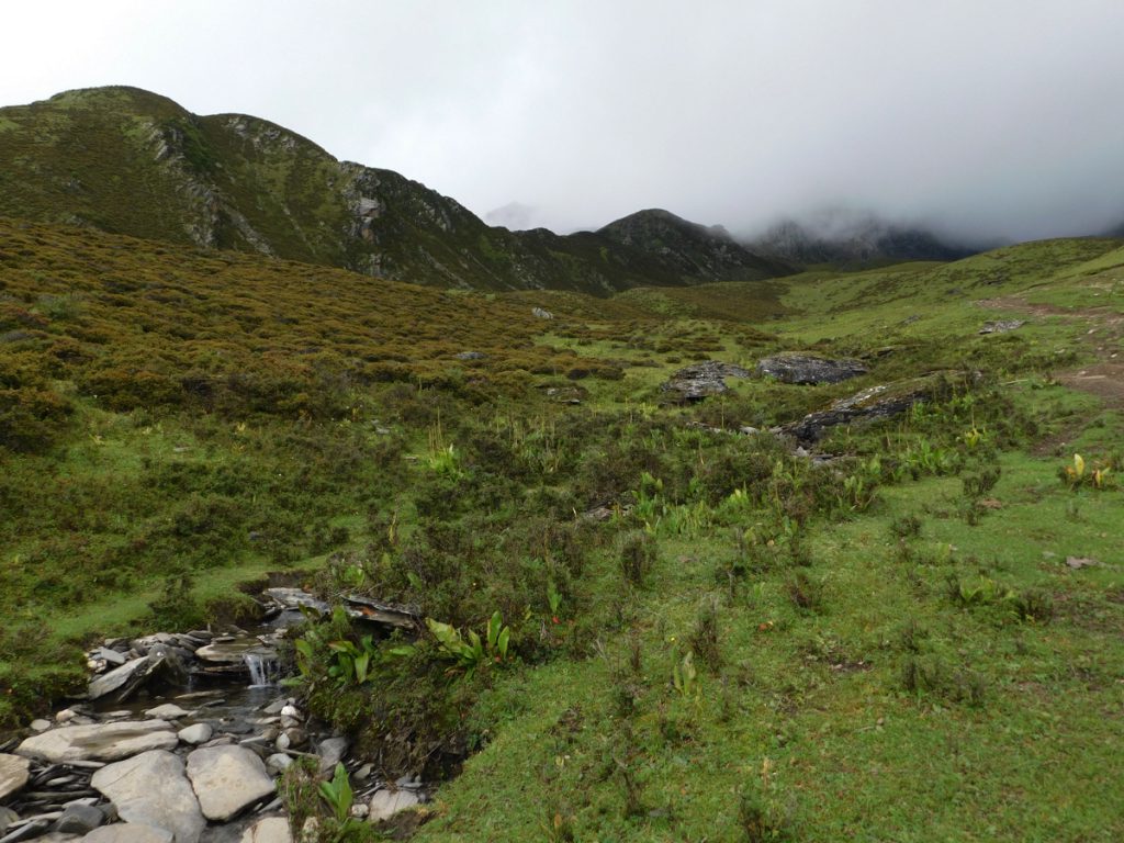 四川省・長坪溝、枯樹灘、四姑娘山鎮から大本営ベースキャンプへ、大峰山頂の写真　四姑娘山、大峰を登る4-1