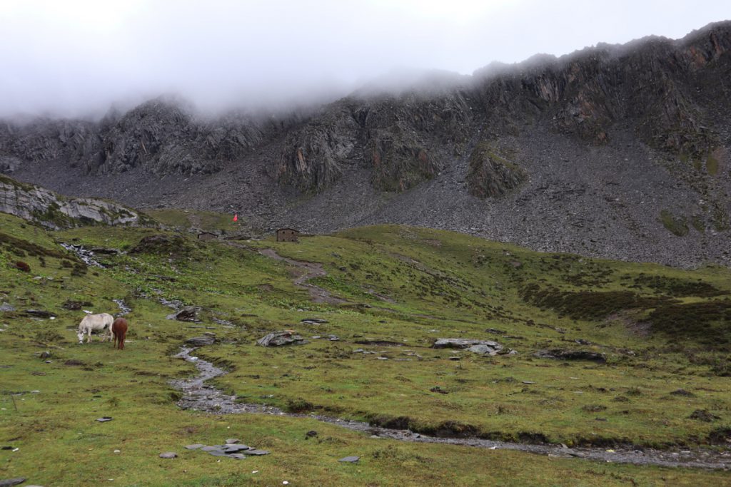 四川省・長坪溝、枯樹灘、四姑娘山鎮から大本営ベースキャンプへ、大峰山頂の写真　四姑娘山、大峰を登る4-3