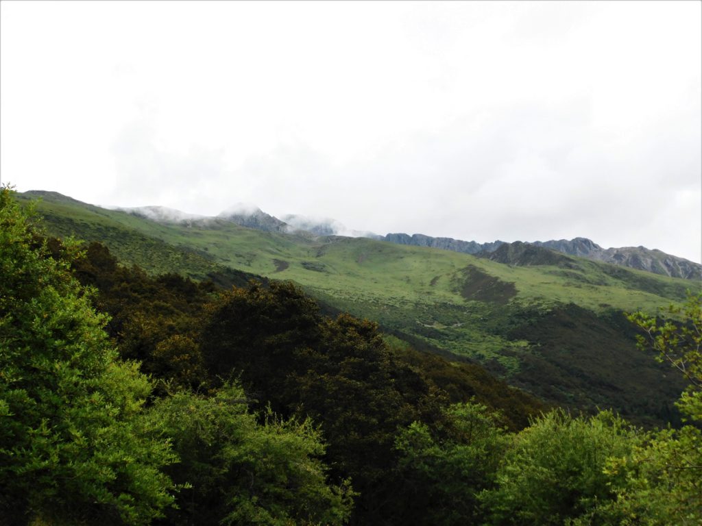 四川省・長坪溝、枯樹灘、四姑娘山鎮から大本営ベースキャンプへ、大峰山頂の写真　四姑娘山、大峰を登る4-5